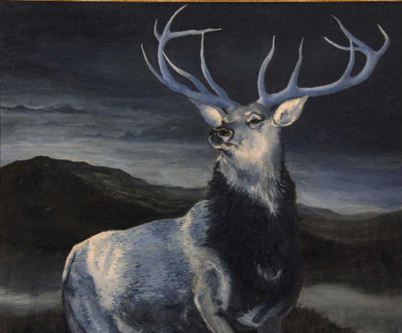 stag